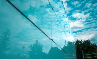 国球荣耀,中央五乒乓球决赛的精彩瞬间与背后故事 国球荣耀,中央五乒乓球决赛的精彩瞬间与背后故事