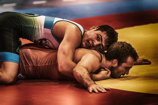 挥拳为中国荣耀而战 —— UFC中国选手的奋斗之路