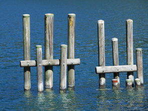 颜值爆表!如何制作一份令人难忘的高颜值手抄报 颜值爆表!如何制作一份令人难忘的高颜值手抄报