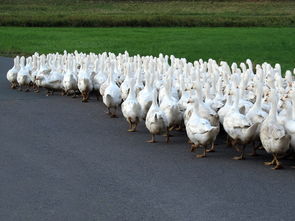 球场上的铁汉与生活中的巨人 球场上的铁汉与生活中的巨人