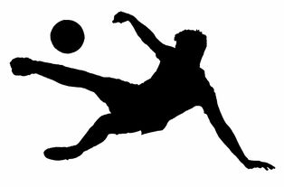 女排传奇中的璀璨明珠