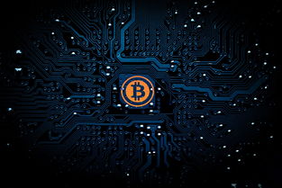 王者之路的传奇篇章 王者之路的传奇篇章