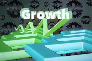 回顾精彩瞬间,展望未来征程 回顾精彩瞬间,展望未来征程