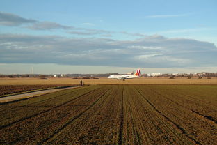 足球之王的最后安息地，马拉多纳为何被葬于郊外？