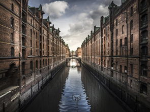 揭开希尔维斯特的神秘面纱——从历史到现代的深度解析 揭开希尔维斯特的神秘面纱——从历史到现代的深度解析