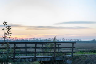穿越时空的桥梁,解读法兰克福时间的独特魅力 穿越时空的桥梁,解读法兰克福时间的独特魅力