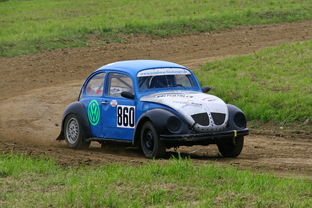 竞技体育与大众体育,共生共荣的体育文化双翼 竞技体育与大众体育,共生共荣的体育文化双翼