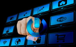 探索免费体育资源的宝藏，最全的体育网站指南