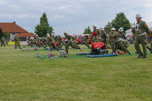 探索雷鸟体育，如何安全下载及享受体育赛事直播