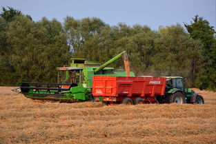 豌豆之桥，中乌合作的新篇章