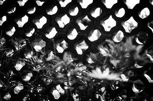 印度新冠死亡人数,疫情的阴影与复苏的曙光 印度新冠死亡人数,疫情的阴影与复苏的曙光