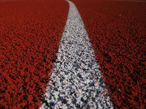 探索运动场的英文单词，从田径到球场的全方位指南