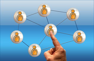 福建31选7，深入了解开奖信息与策略