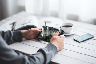 智能AI选号App,数字时代的号码小助手 智能AI选号App,数字时代的号码小助手