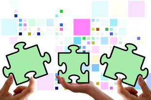 警惕体育饭圈化,保护体育精神,维护纯粹竞技 警惕体育饭圈化,保护体育精神,维护纯粹竞技