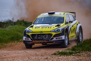 探索体育界的新星,了解Coco的非凡之旅 探索体育界的新星,了解Coco的非凡之旅