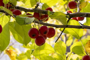 北京疫情新动态，新增31例确诊，我们如何应对？