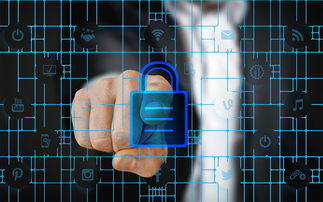 上海新增1地高风险，全面解析与应对策略