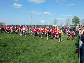 探索体育世界,知网收录与学术价值 探索体育世界,知网收录与学术价值