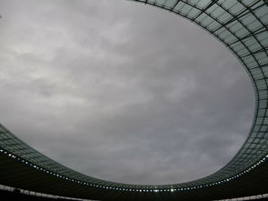 揭秘大乐透预测号,专家预测的艺术与科学 揭秘大乐透预测号,专家预测的艺术与科学