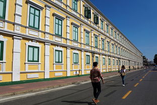 辽宁体育频道，东北体育文化的窗口