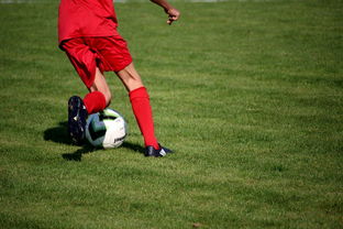 乒乓球之道，从初学者到心灵之旅的感悟