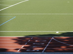 深入探索球赛数据分析师,球场背后的英雄 深入探索球赛数据分析师,球场背后的英雄