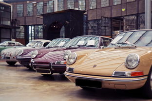 速度与激情，探索全球十大滚球体育项目