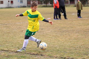 绿茵场上的智者，球赛分析师招募，开启你的足球分析之旅