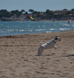 在汗水中绽放的青春，体育竞技的魅力与启示