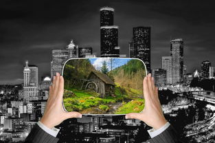 探索半岛博客首页，您的数字生活新起点