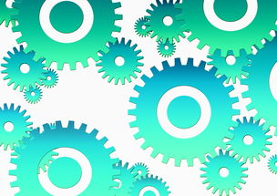 体育精神的光辉,激励人心的十大案例 体育精神的光辉,激励人心的十大案例