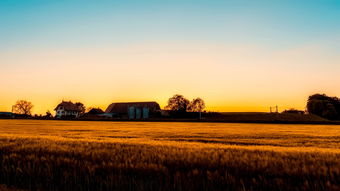 国足01的挑战，一场失利，一次成长