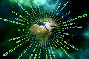 小星星，大能量，小学生体育之星的闪耀事迹