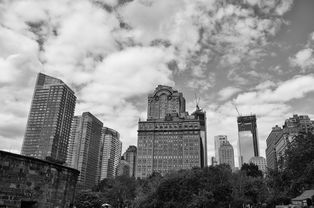 全红婵，以行动诠释梦想，以真诚跨越话少的误解