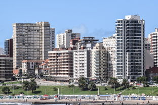 巴西足球传奇——拉米雷斯·桑托斯，从贫民窟到世界舞台