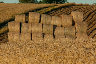 广西疫情突增，全国31省份新增本土确诊40例