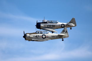 挥洒汗水，绘出精彩，体育手抄报的艺术与挑战