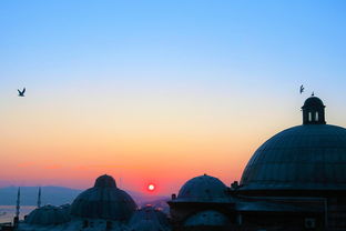 从青梅竹马到甜蜜婚姻 从青梅竹马到甜蜜婚姻