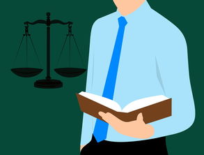 奥运火炬下的启示，青少年如何从奥运精神中汲取力量