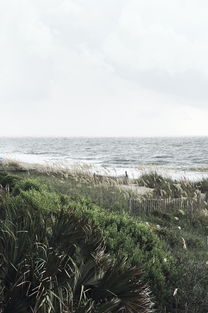 泰夏安普林斯,探索未知的旅程——在旅行中寻找自我与灵感 泰夏安普林斯,探索未知的旅程——在旅行中寻找自我与灵感