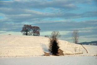 辽宁第一时间探寻辽宁之美，从文化到自然的全面解读
