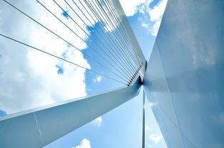 洛杉矶火花,WNBA的璀璨之星,篮球与平等的双重力量 洛杉矶火花,WNBA的璀璨之星,篮球与平等的双重力量