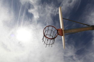 NBA最新战报，巨星对决点燃篮球之夜