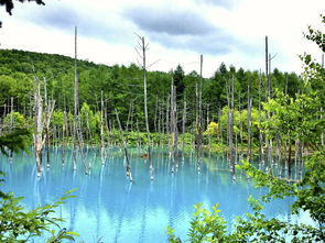 1115岁高难度手抄报，穿越时空的艺术与智慧