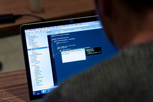 楚天金报电子版，数字阅读时代的崭新纪元