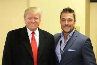 巴黎奥运会,中国军团的夺金之旅与亮点预测 巴黎奥运会,中国军团的夺金之旅与亮点预测