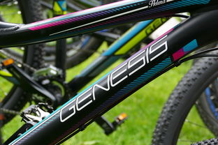 男子骑电动车被限高杆狠狠砸中头部，安全意识的缺失与城市规划的反思