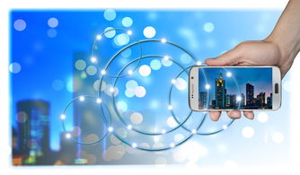 自媒体时代的心路历程,从新手到资深作者的心得体会 自媒体时代的心路历程,从新手到资深作者的心得体会