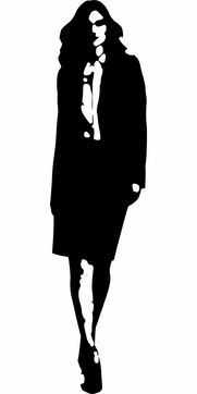 篮球艺术的完美展现